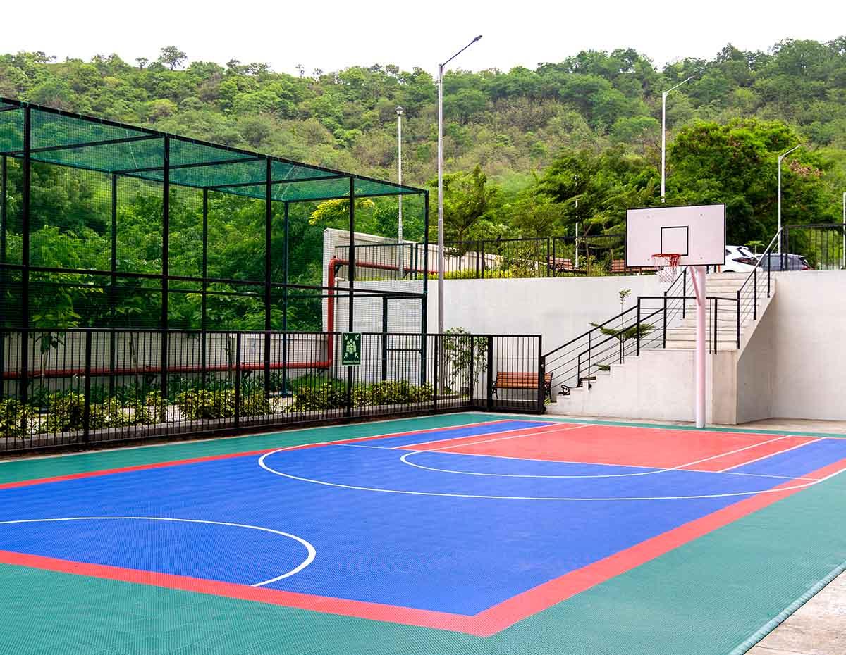 Basket Ball